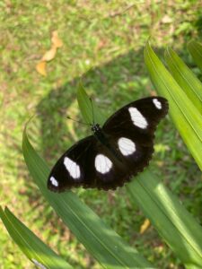 img 20201011 wa0004