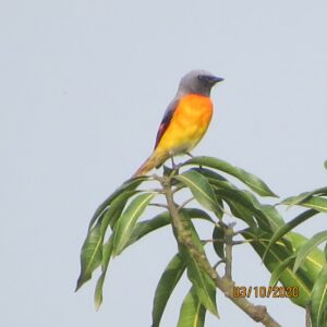 img 20201016 wa0038