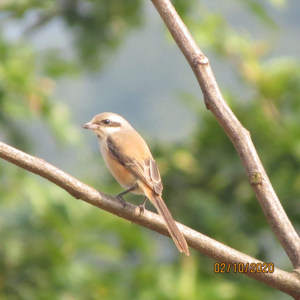 img 20201016 wa0041
