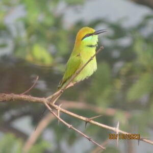 img 20201016 wa0046