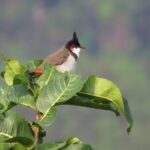 img 20201016 wa0057