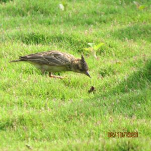 img 20201016 wa0060